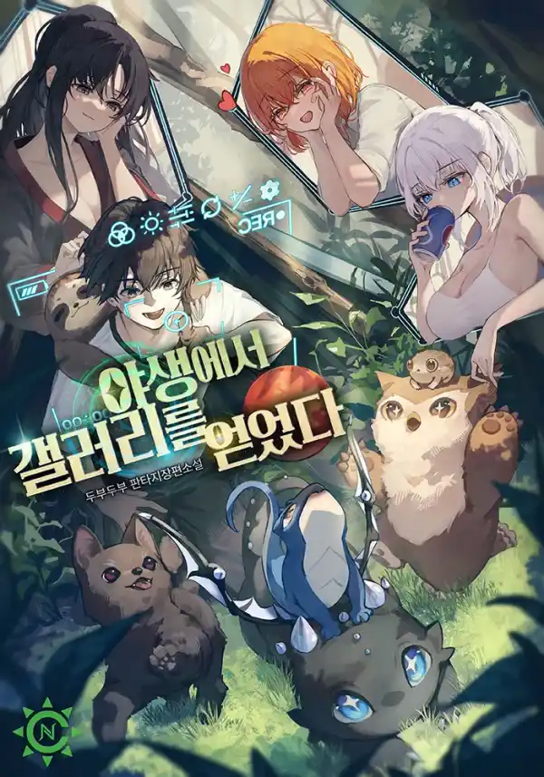 Tenho Uma Galeria na Floresta
